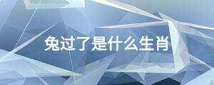 兔過了是什么生肖