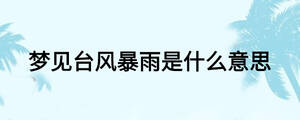 夢見臺風暴雨是什么意思