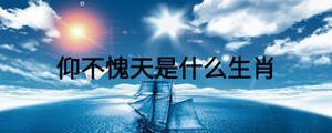 仰不愧天是什么生肖