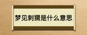 夢(mèng)見刺猬是什么意思