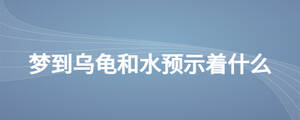 夢(mèng)到烏龜和水預(yù)示著什么