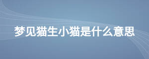 夢(mèng)見(jiàn)貓生小貓是什么意思