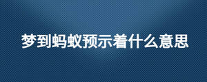 夢到螞蟻預示著什么意思