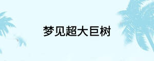 夢(mèng)見(jiàn)超大巨樹(shù)