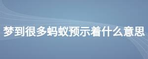 夢(mèng)到很多螞蟻預(yù)示著什么意思