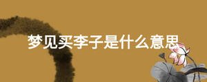夢見買李子是什么意思