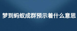 夢到螞蟻成群預(yù)示著什么意思