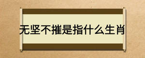無堅不摧是指什么生肖