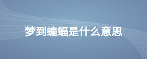 夢(mèng)到蝙蝠是什么意思