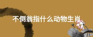 不倒翁指什么動(dòng)物生肖