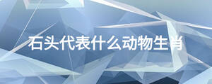 石頭代表什么動(dòng)物生肖