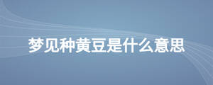 夢(mèng)見種黃豆是什么意思