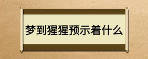 夢(mèng)到猩猩預(yù)示著什么