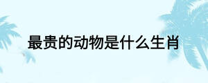 最貴的動物是什么生肖