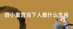自小皇宮當(dāng)下人是什么生肖