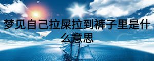 夢(mèng)見自己拉屎拉到褲子里是什么意思