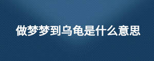 做夢(mèng)夢(mèng)到烏龜是什么意思