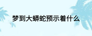 夢(mèng)到大蟒蛇預(yù)示著什么