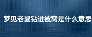 夢(mèng)見(jiàn)老鼠鉆進(jìn)被窩是什么意思