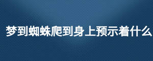 夢到蜘蛛爬到身上預(yù)示著什么