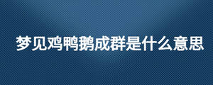 夢見雞鴨鵝成群是什么意思