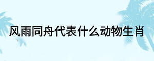 風(fēng)雨同舟代表什么動物生肖