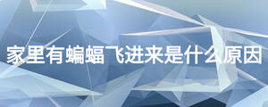 家里有蝙蝠飛進(jìn)來(lái)是什么原因