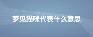 夢(mèng)見貓咪代表什么意思