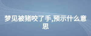 夢(mèng)見被豬咬了手,預(yù)示什么意思