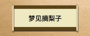 夢(mèng)見(jiàn)摘梨子