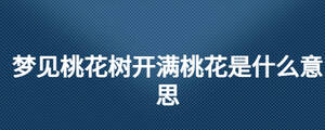 夢見桃花樹開滿桃花是什么意思
