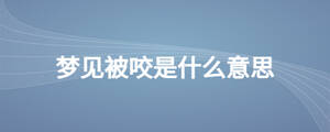夢見被咬是什么意思