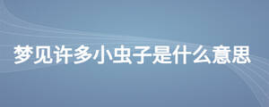 夢見許多小蟲子是什么意思