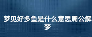 夢(mèng)見(jiàn)好多魚(yú)是什么意思周公解夢(mèng)