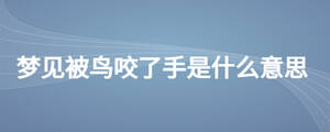 夢(mèng)見被鳥咬了手是什么意思