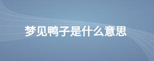 夢(mèng)見(jiàn)鴨子是什么意思