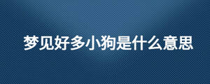 夢(mèng)見好多小狗是什么意思