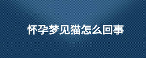 懷孕夢(mèng)見(jiàn)貓?jiān)趺椿厥? width=