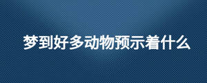 夢到好多動物預示著什么