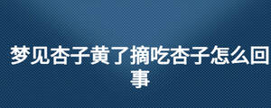 夢(mèng)見(jiàn)杏子黃了摘吃杏子怎么回事