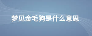夢(mèng)見金毛狗是什么意思