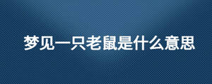 夢(mèng)見一只老鼠是什么意思