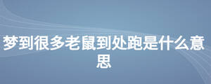 夢到很多老鼠到處跑是什么意思