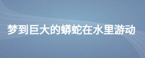 夢(mèng)到巨大的蟒蛇在水里游動(dòng)