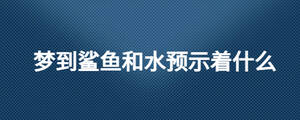 夢(mèng)到鯊魚和水預(yù)示著什么