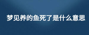 夢(mèng)見(jiàn)養(yǎng)的魚(yú)死了是什么意思