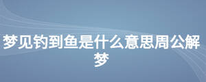 夢(mèng)見(jiàn)釣到魚(yú)是什么意思周公解夢(mèng)