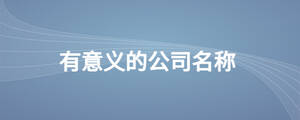 有意義的公司名稱