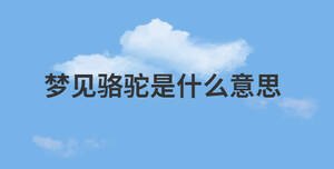 夢見駱駝是什么意思
