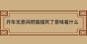 開車無意間把貓撞死了意味著什么